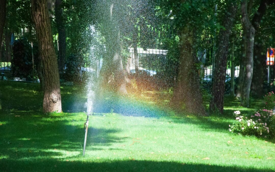 Professional Spring Sprinkler System Startup Guide for Seattle Homeowners