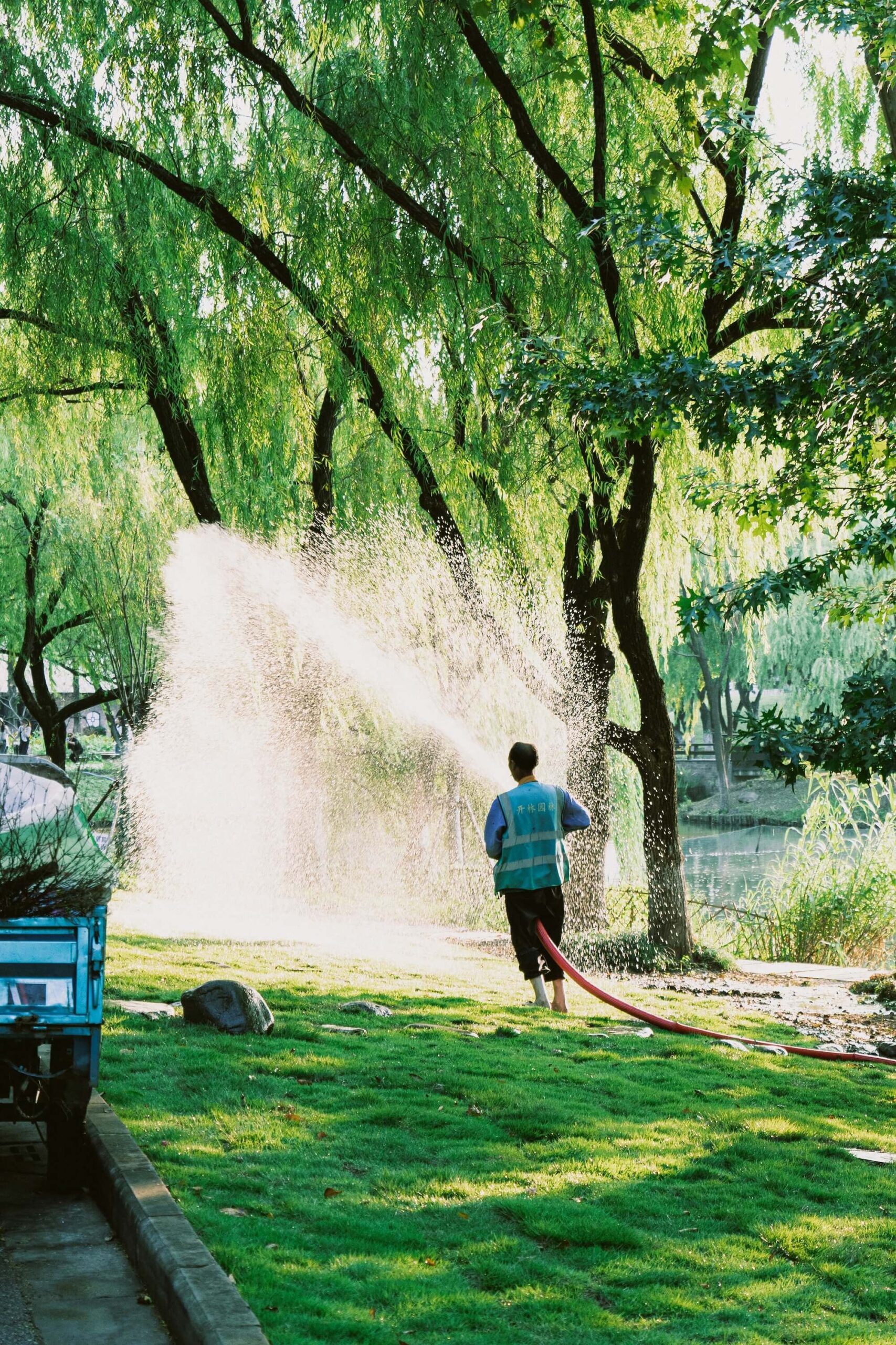 aasing-gwok-qkeyNZ8F9EU-unsplash (1)