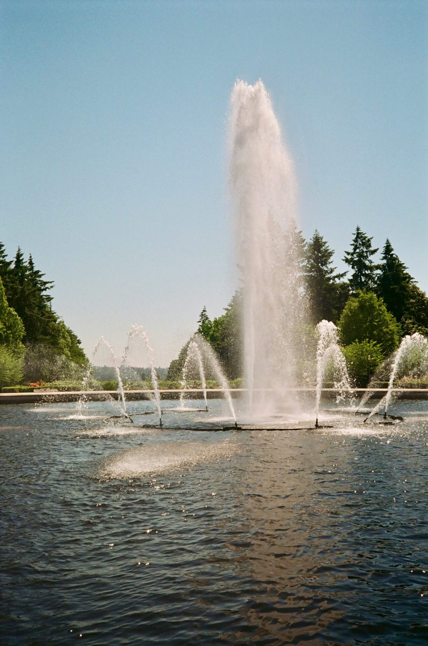 cin-t_He1oHvZP8-unsplash (1)