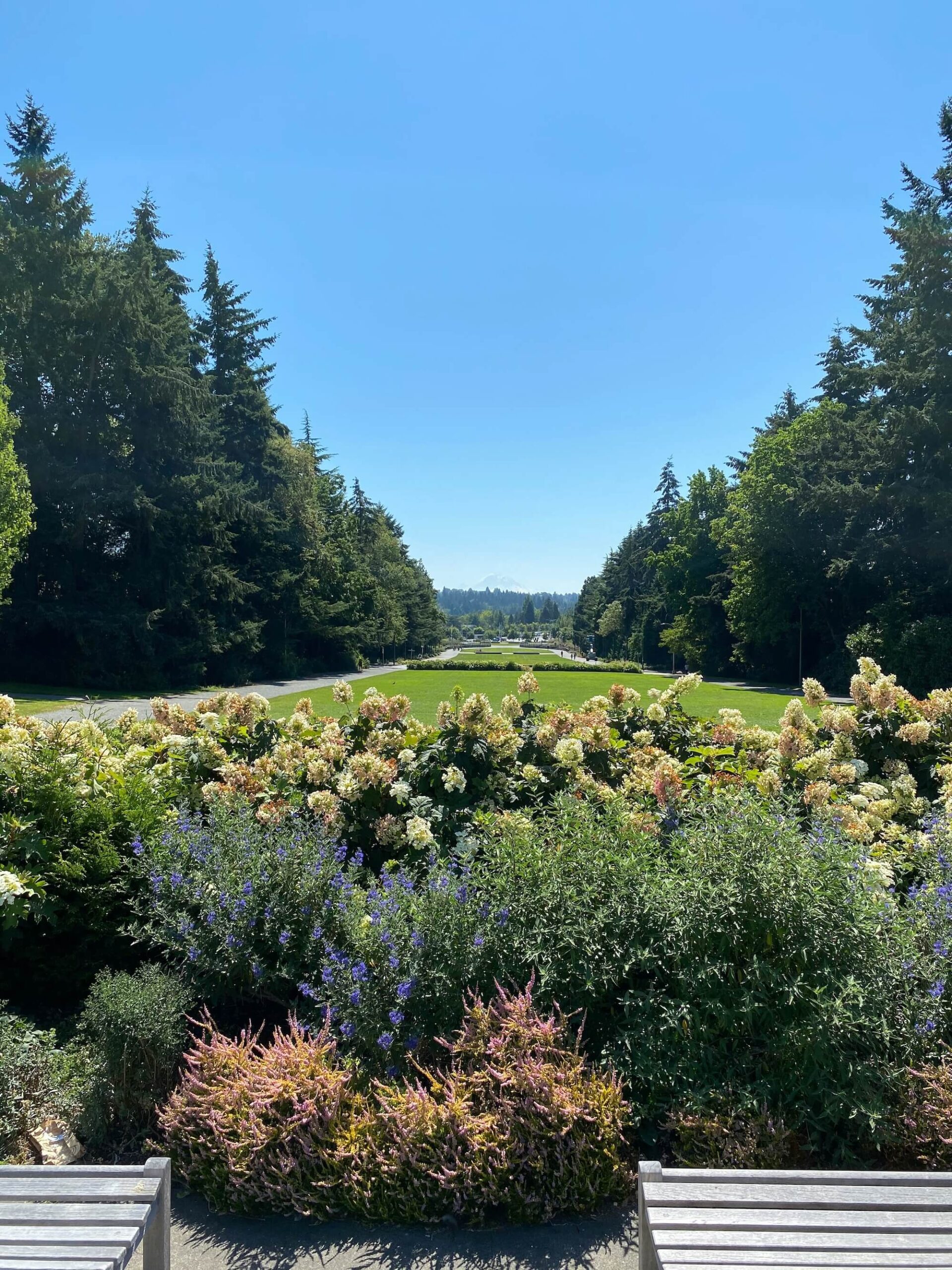 irasema-mcallister-yI4p2qLmvzU-unsplash