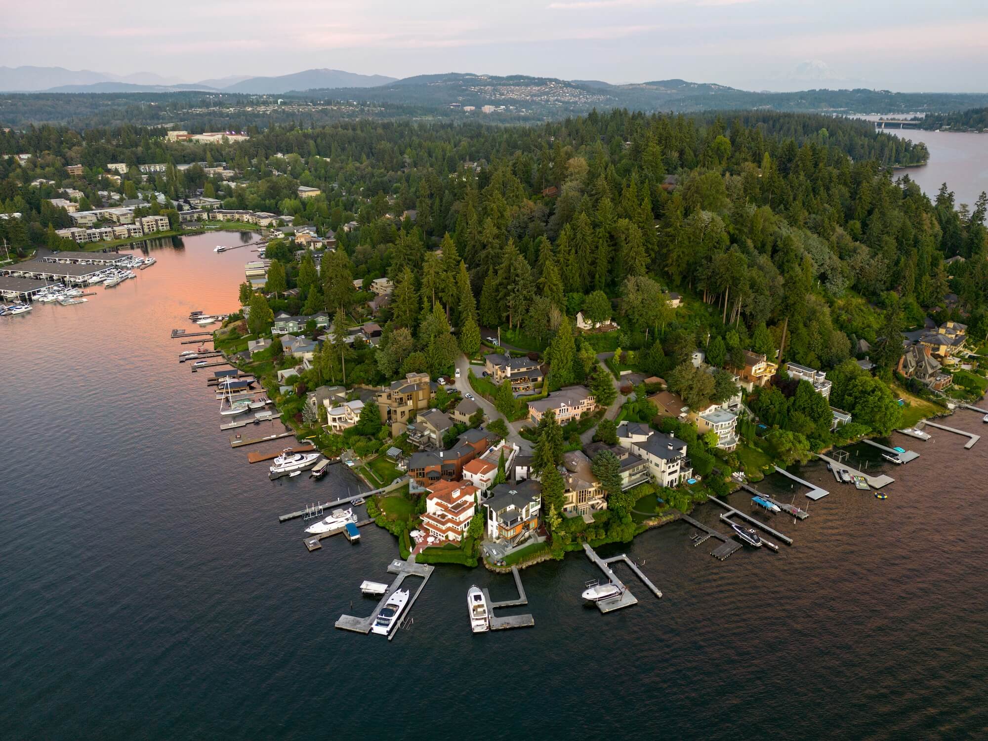 zetong-li-qfp_DOodtiA-unsplash (1)